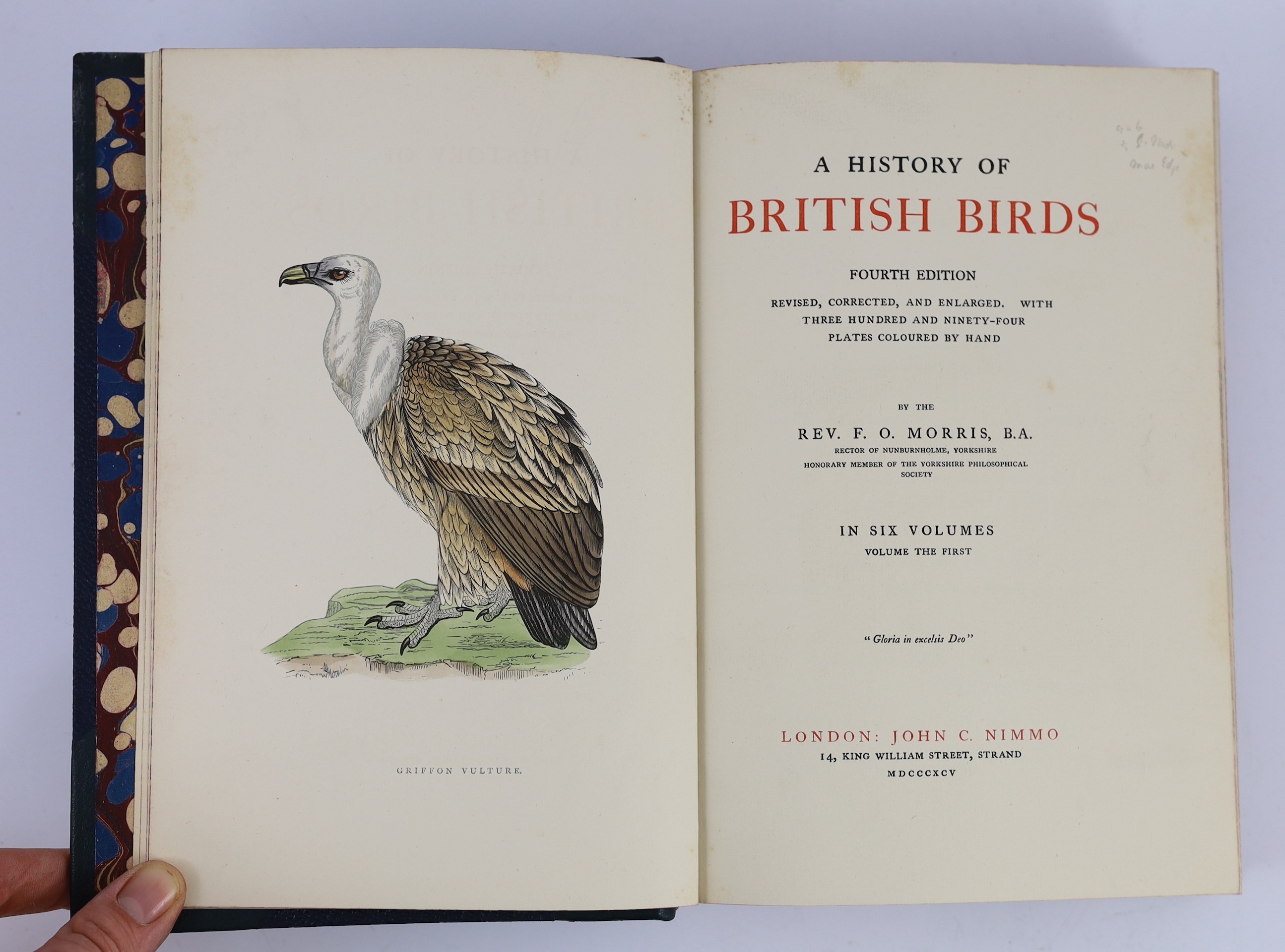 Morris, Rev. Francis Orpen - A History of British Birds, 4th edition. revised, corrected, and enlarged, 6 vols. 394 hand coloured plates; contemp. gilt decorated green half morocco and cloth, marbled edges and e/ps., 4 t